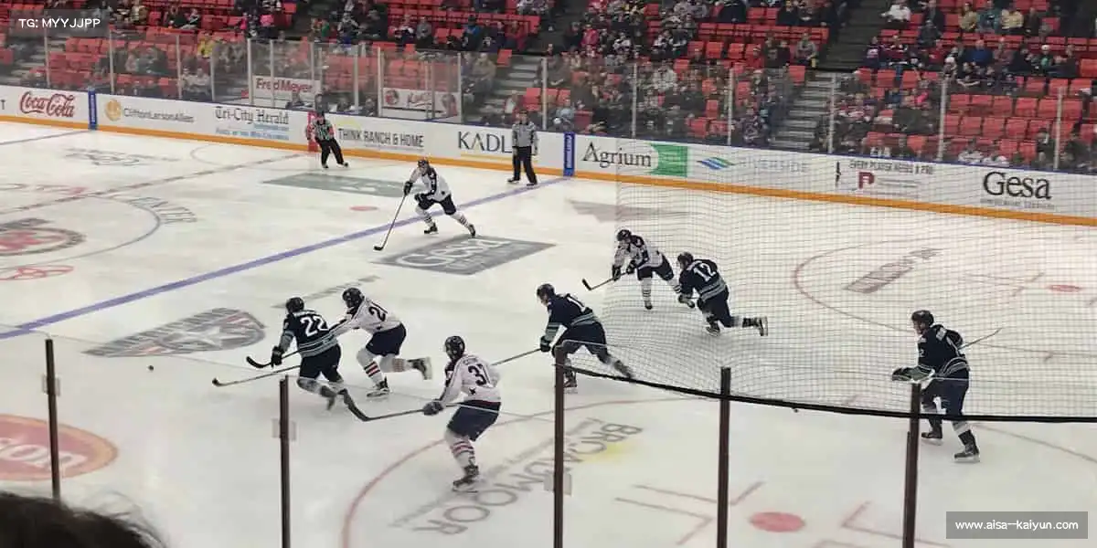 kaiyun.com——🦾拳腿组合，攻防一体！